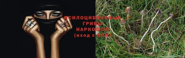 дистиллят марихуана Новокубанск